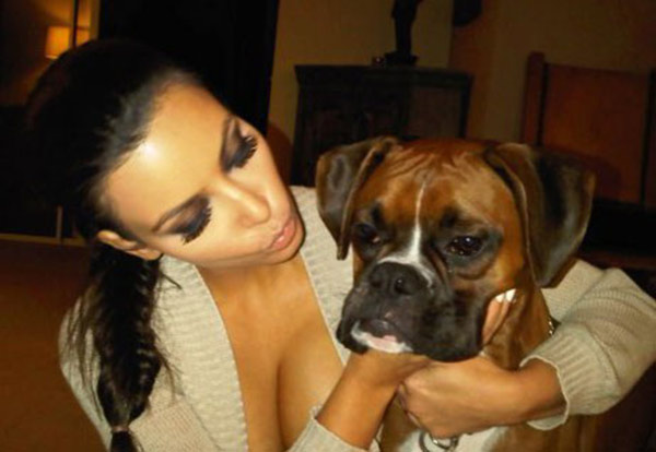 Kardashian şimdi de köpeğine estetik yaptırdı!