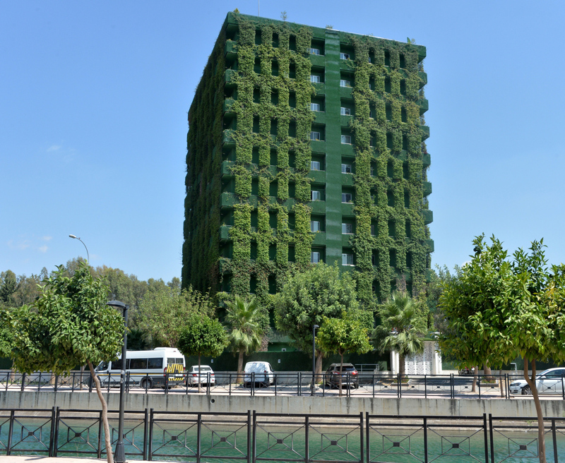 Adana’nın göbeğinde ilginç görüntü!