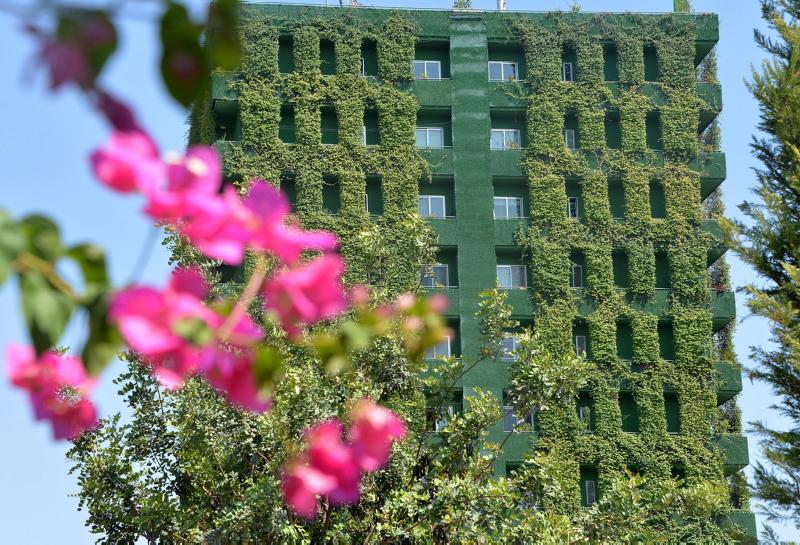 Adana’nın göbeğinde ilginç görüntü!