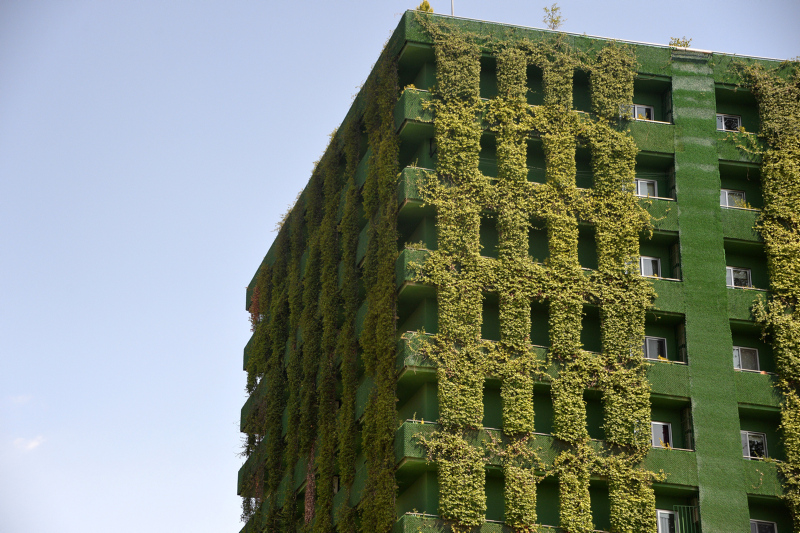 Adana’nın göbeğinde ilginç görüntü!