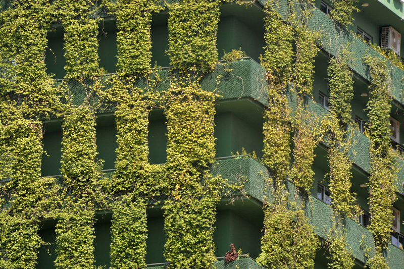 Adana’nın göbeğinde ilginç görüntü!