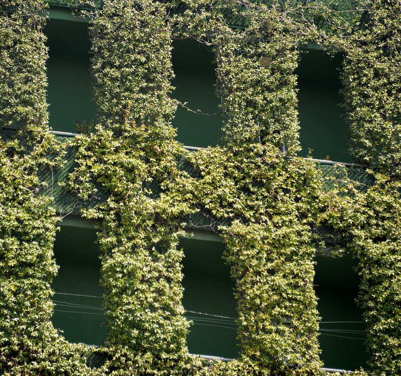 Adana’nın göbeğinde ilginç görüntü!