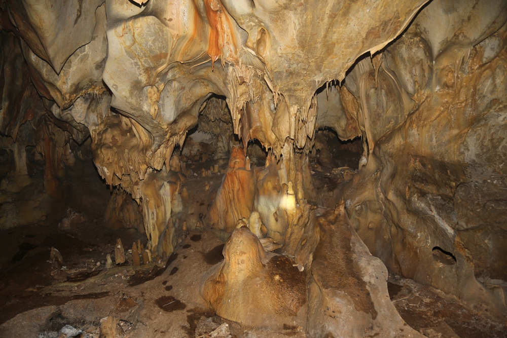 Ankara’da şans eseri bulundu