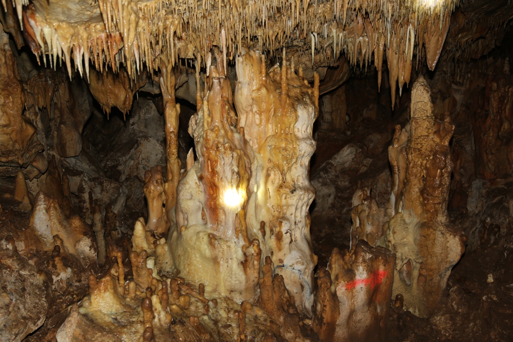 Ankara’da şans eseri bulundu
