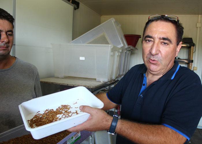 Parasına para katıyor!