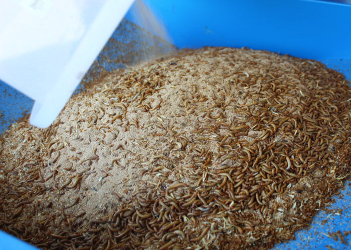 Parasına para katıyor!