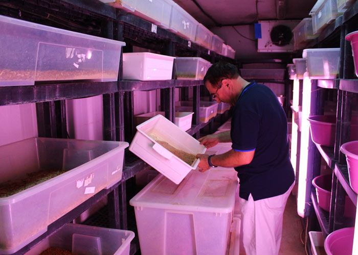 Parasına para katıyor!