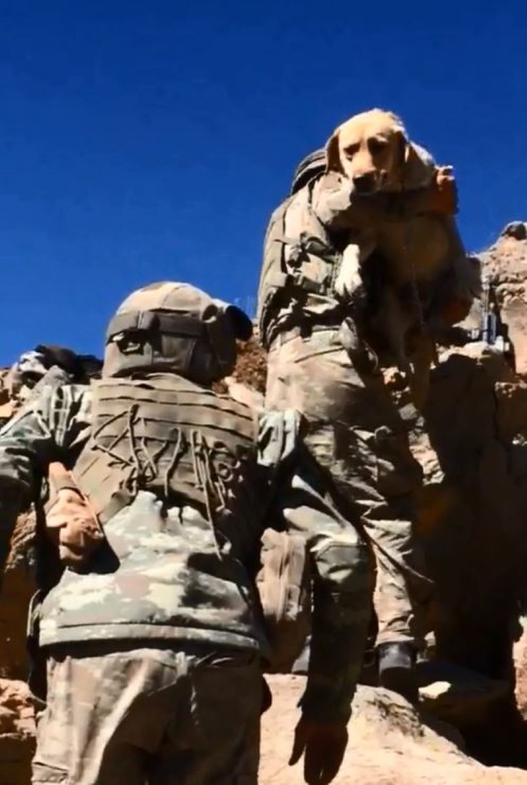 Komandolar teröristlerin inlerine girdi