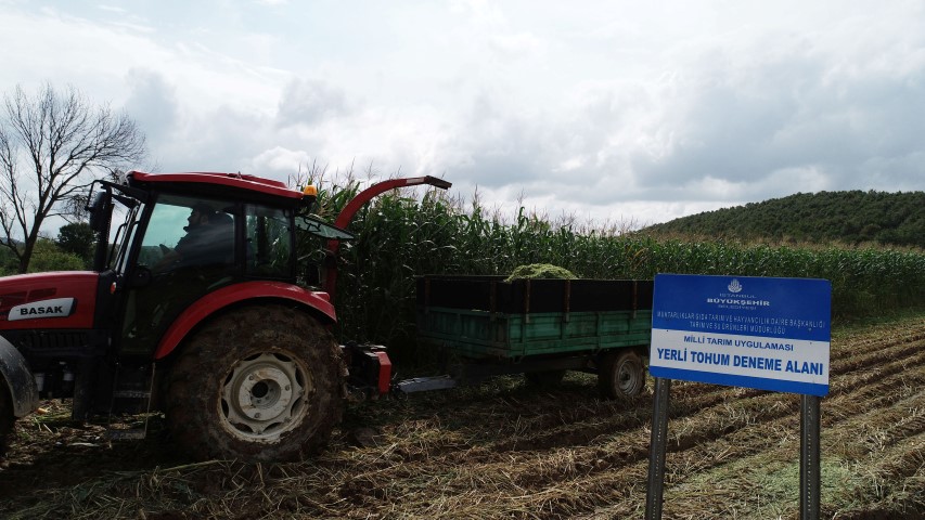 İstanbul’da “Milli Tarım Yerli Tohum Deneme Ekimleri” projesinde ilk mısır hasadı yapıldı