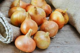 Soğan suyu faydaları nelerdir? Soğan kürü nasıl yapılır?