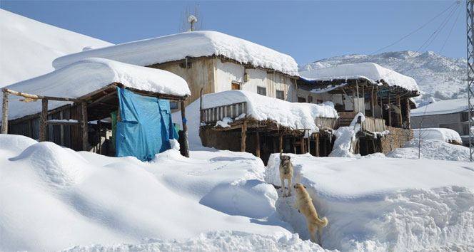 Doğu ve Doğu Anadolu’da kar bekleniyor