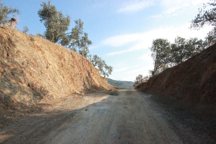 CHP’li Başkanın babası köyün yarısını satın aldı