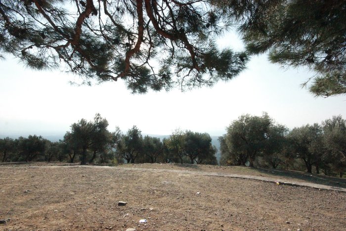 CHP’li Başkanın babası köyün yarısını satın aldı