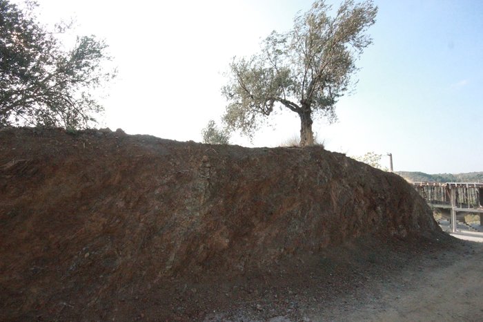 CHP’li Başkanın babası köyün yarısını satın aldı