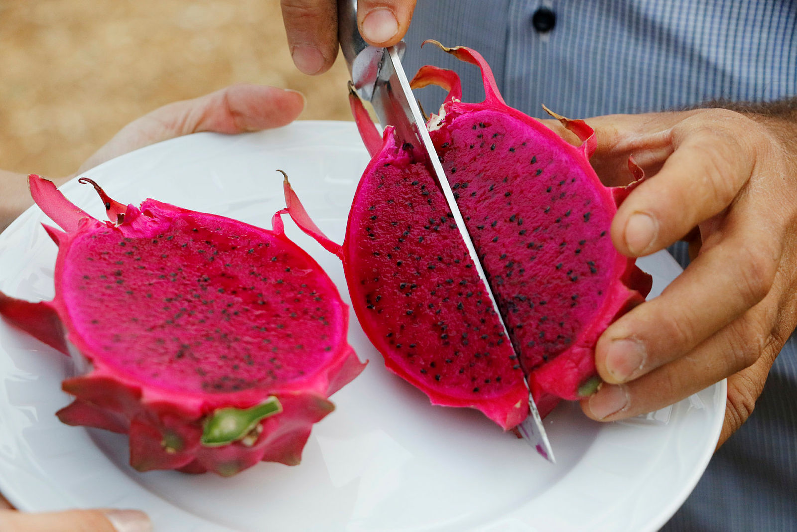 Pitaya, Türkiye’nin tescillenen ilk tropikal meyvesi oldu