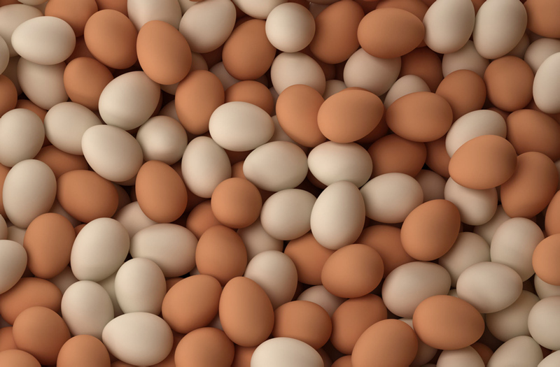 Yumurta seçerken nelere dikkat edilir?