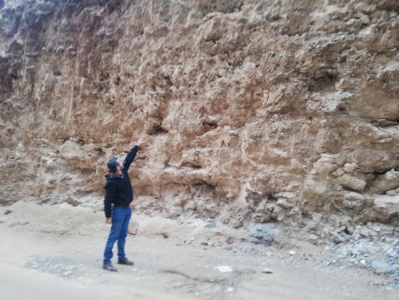 Mardin’de dinozor fosilleri bulundu