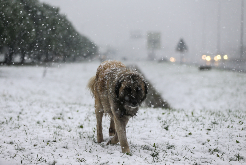 Son dakika: İstanbul’da kar yağışı devam ediyor. İstanbul’da kaç gün kar yağacak? Meteoroloji’den son dakika hava durumu açıklaması
