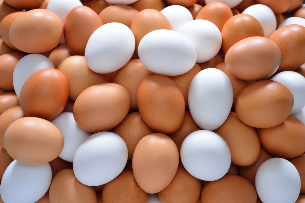 Beyaz ve kahverengi yumurta arasında fark var mı?