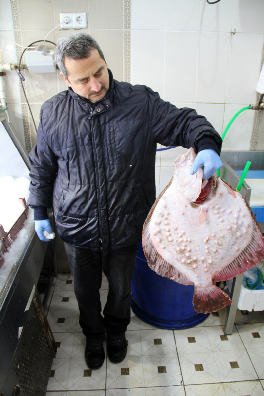 Nadir bulunan balık Karadeniz’de tutuldu, tezgaha gelmeden satıldı