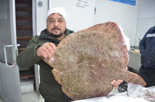 Karadeniz’de avlanan kalkan balığı şok eden fiyata satışa çıktı