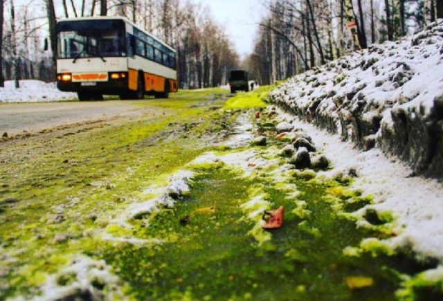 Rusya’da yağan yeşil kar paniğe neden oldu