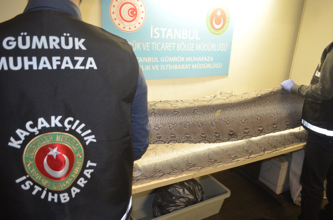 Atatürk Havalimanı’nda yılan derisi operasyonu