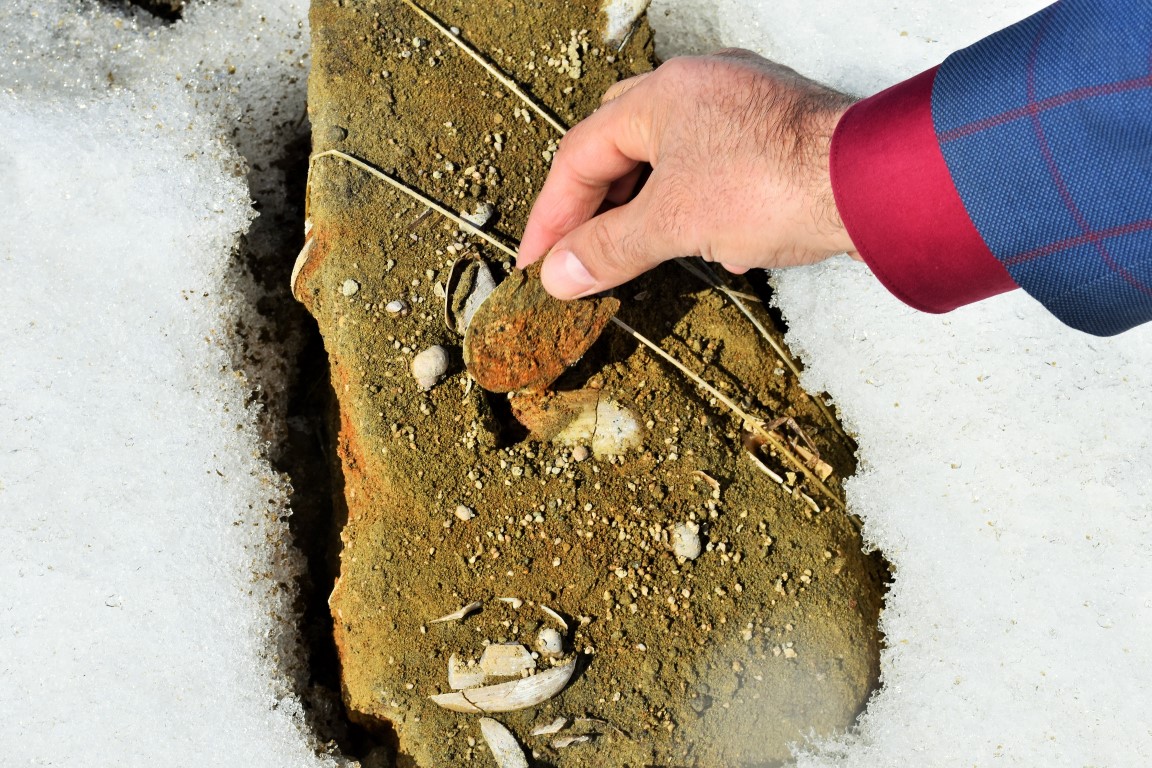 Muş’ta heyecan yaratan 11 milyon yıllık fosiller