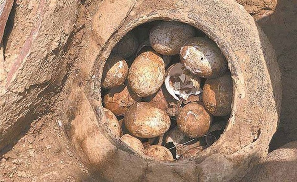 Küpün içinde 2500 yıllık yumurtalar bulundu
