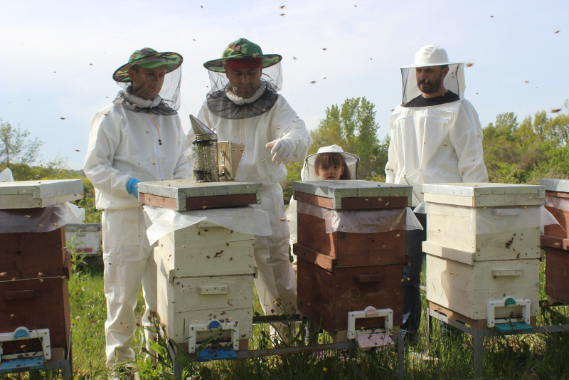 Kilosu 6 bin liradan satılan arı sütünün siparişlerine yetişemiyor