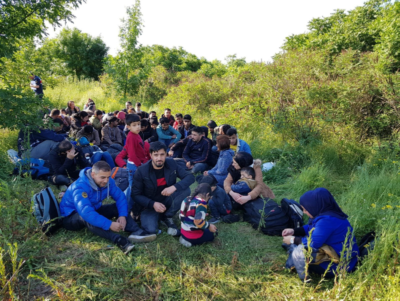 168 kaçak ormanda yakalandı