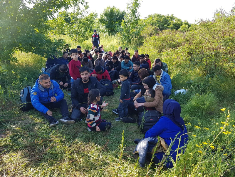 168 kaçak ormanda yakalandı