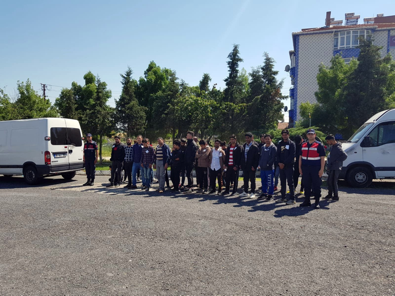 168 kaçak ormanda yakalandı