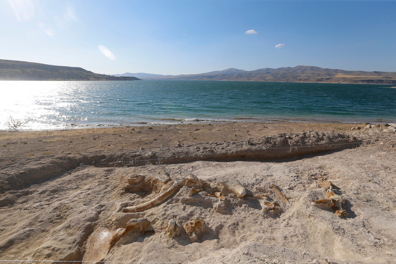 Türkiye’de bulundu! 7.5 milyon yıllık