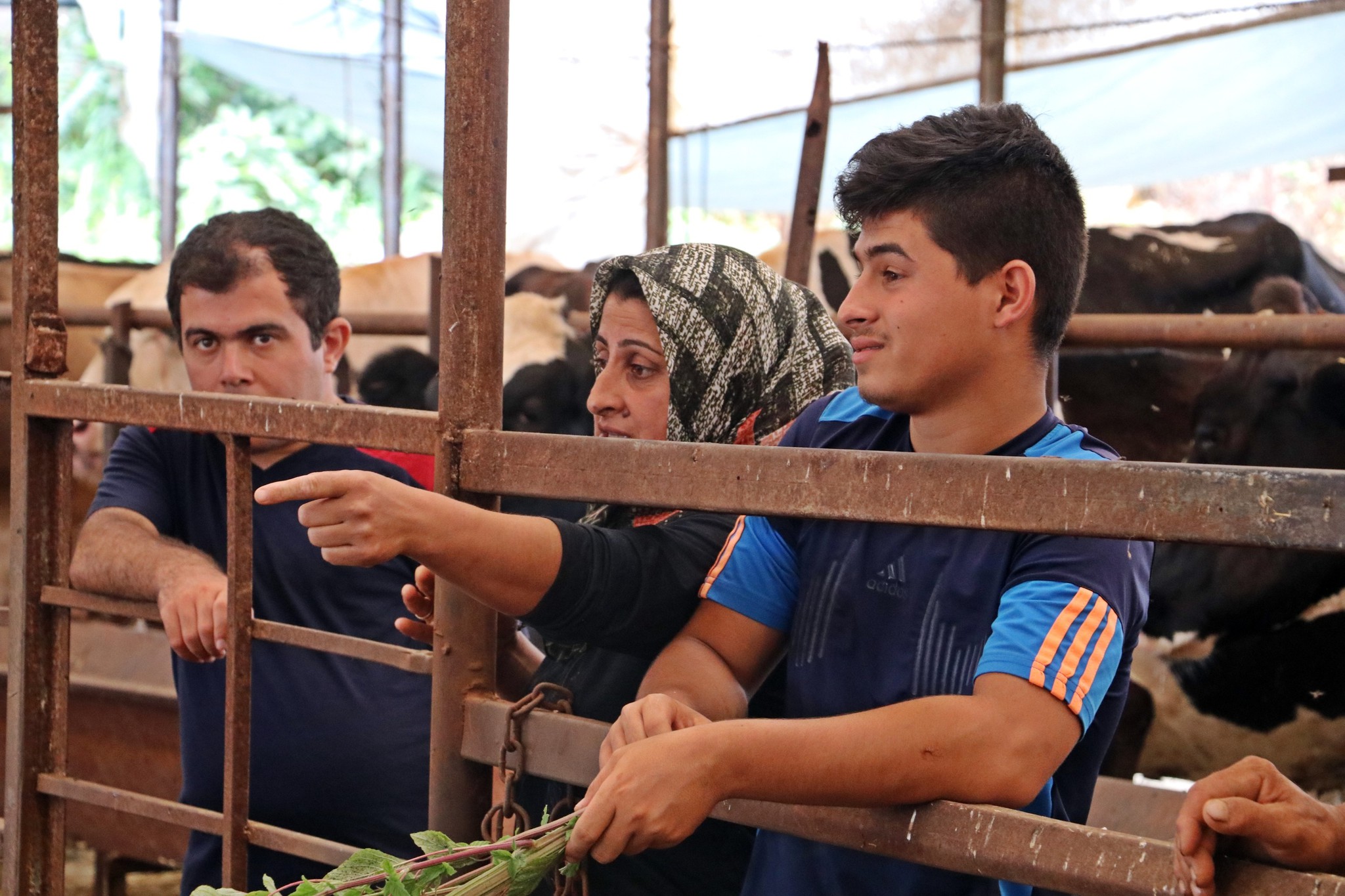 Antalya’da 4 bilezikle hayvancılık işine girdi, kurban siparişine yetişemiyor