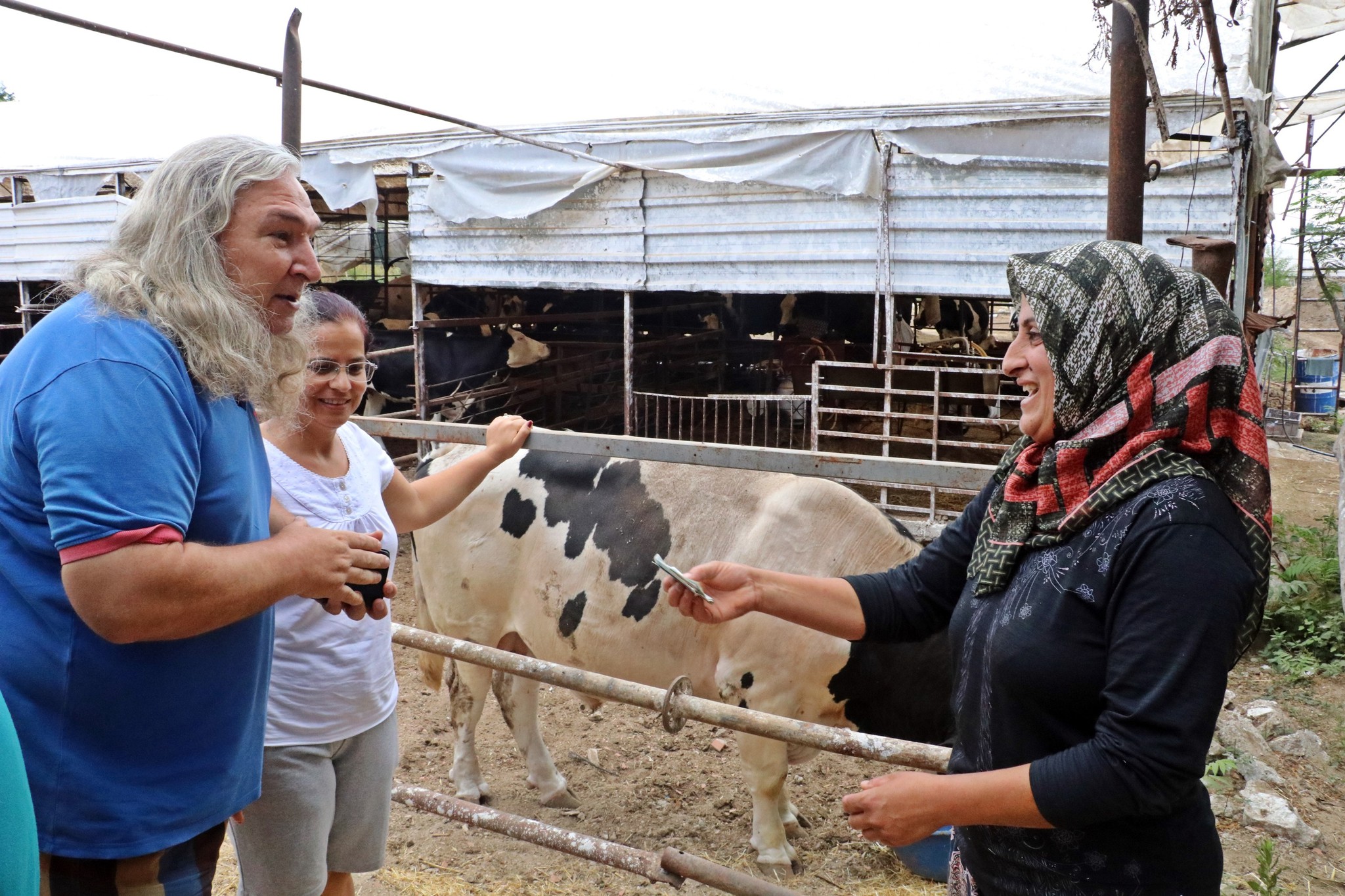 Antalya’da 4 bilezikle hayvancılık işine girdi, kurban siparişine yetişemiyor
