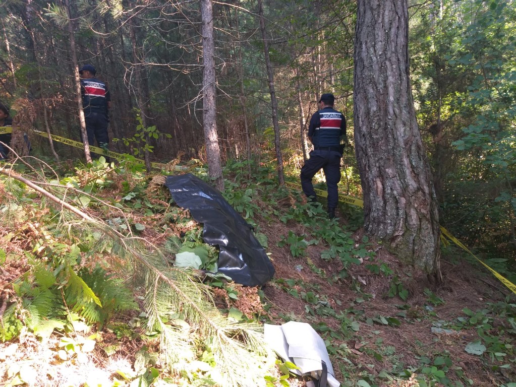 Zonguldak’ta ormanda ayı saldıran köylü öldü