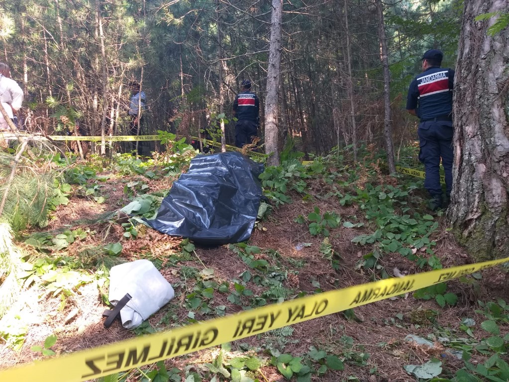 Zonguldak’ta ormanda ayı saldıran köylü öldü