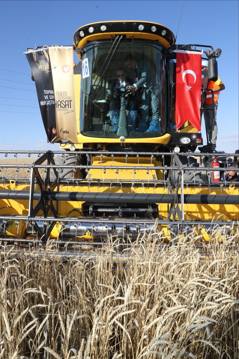 Başkan Erdoğan biçerdöverde buğday hasatı yaptı