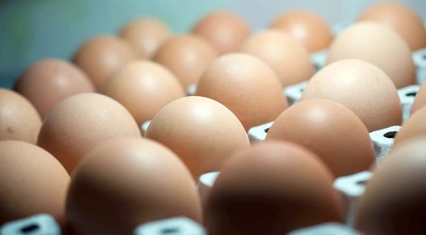 Yumurtada dioksin skandalı! Bağışıklık sistemine zarar veriyor