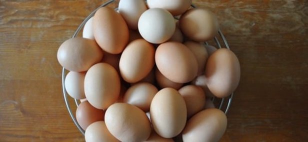 Yumurtada dioksin skandalı! Bağışıklık sistemine zarar veriyor
