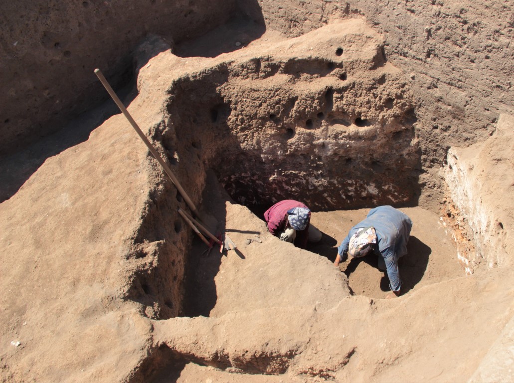 Eskişehir’de bulundu: DNA analizleriyle çözümlenecek