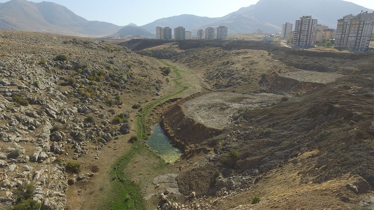 Elbistan’da Türkiye’nin en büyük lavanta vadisi oluşturuluyor