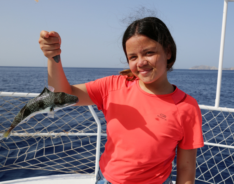 Antalya’da olta balıkçılarına ’balon balığı’ şoku