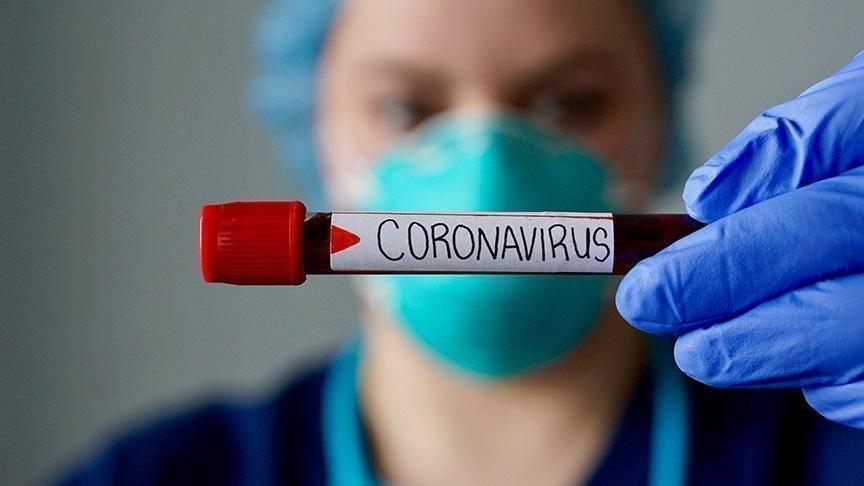 Corona virüs böcek ve sineklerle taşınabilir mi? Uzmanlar açıkladı...
