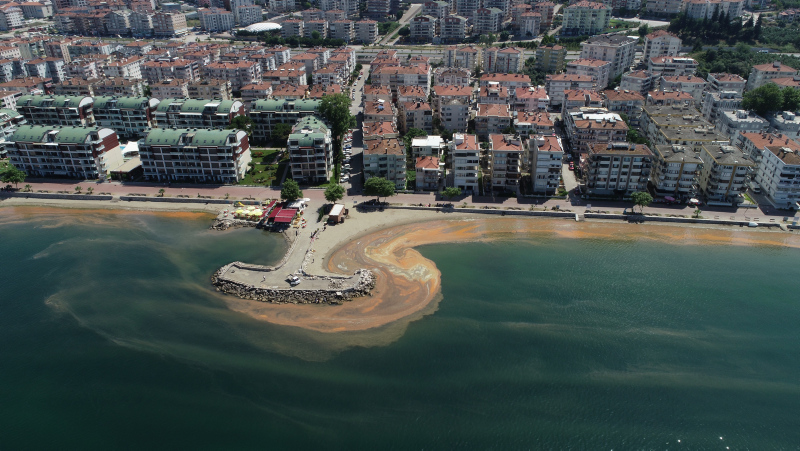 Marmara Denizi turuncuya boyandı, koku vatandaşları tedirgin etti