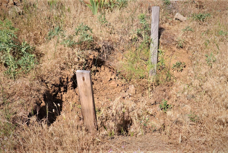 Elazığ’da kızı Merve’nin canını alan ve intihara kalkışan katil baba öldü