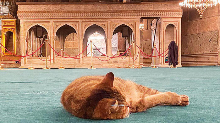 Ulu mabedin sessizliği sona eriyor! İşte Ayasofya Camii’nde yapılan tüm hazırlıklar