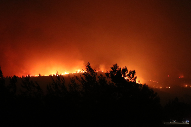 İzmir Menderes’te korkutan orman yangını