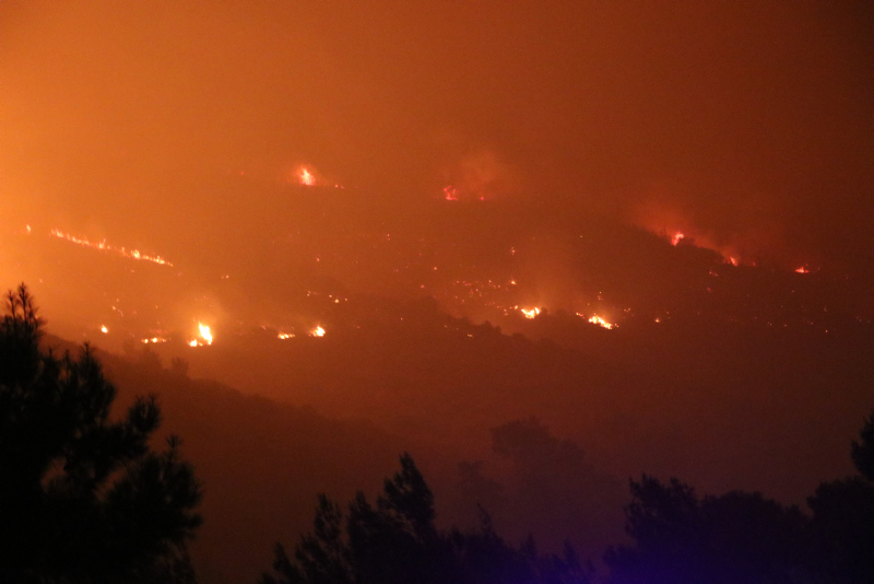 İzmir Menderes’te korkutan orman yangını
